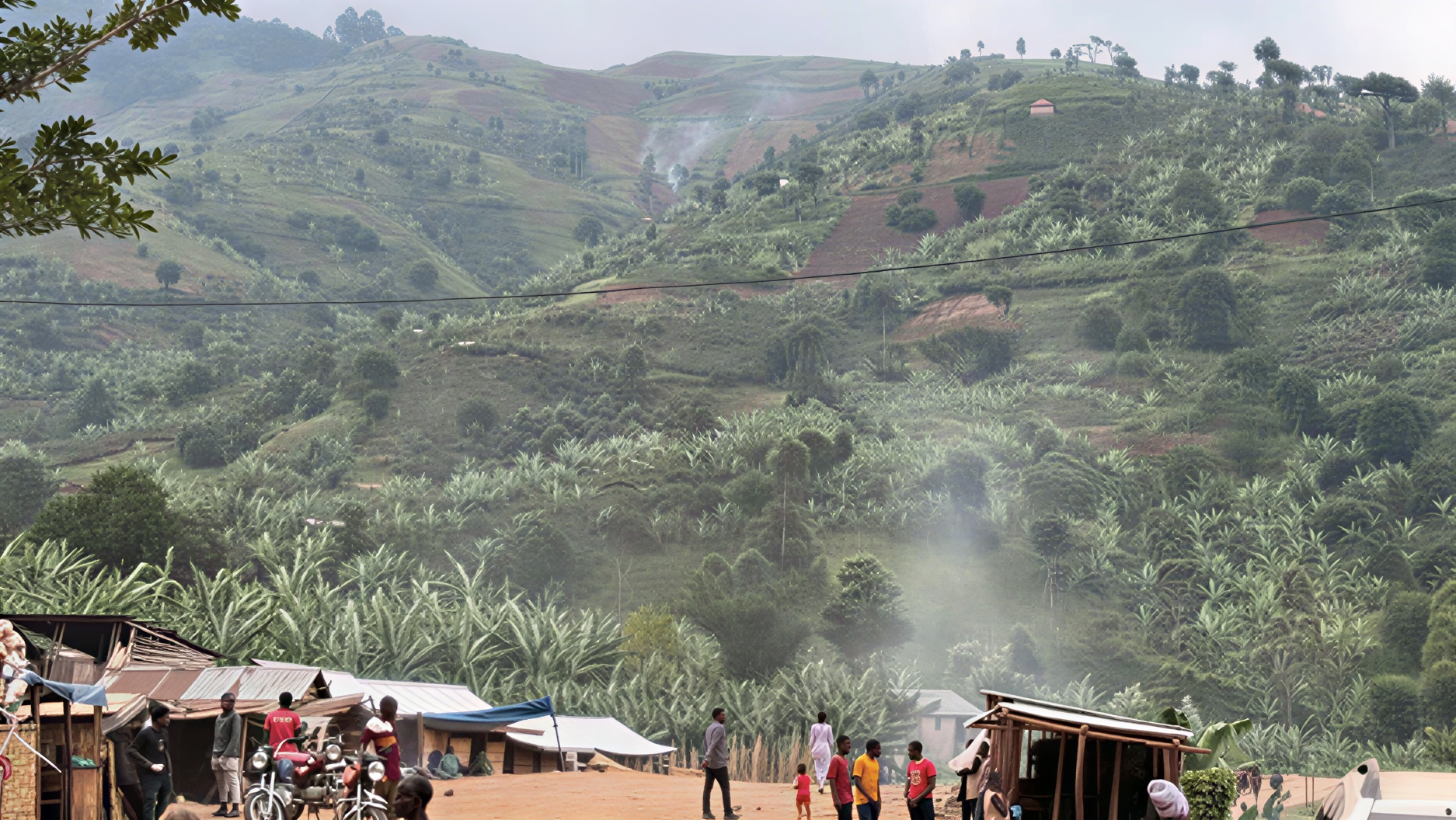 Environment and Livelihoods